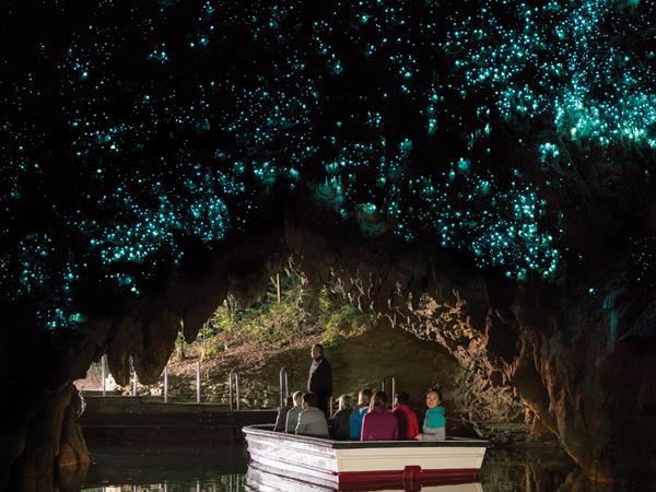 
Waitomo Glowworm Caves