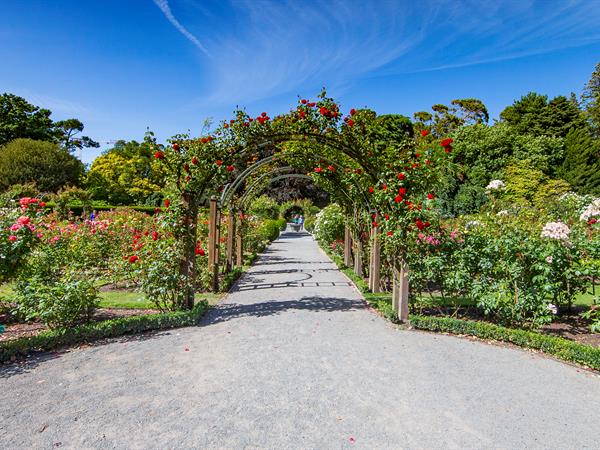 Experiences | Distinction Christchurch Hotel | Christchurch Botanic Gardens