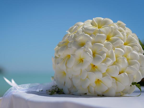 Round Plumeria Arrangement
Le Bora Bora by Pearl Resorts