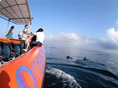 Dolphin Cruise
Bali Hai-Cruise