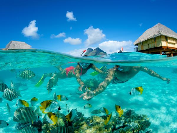 Sous l'eau
Le Bora Bora by Pearl Resorts