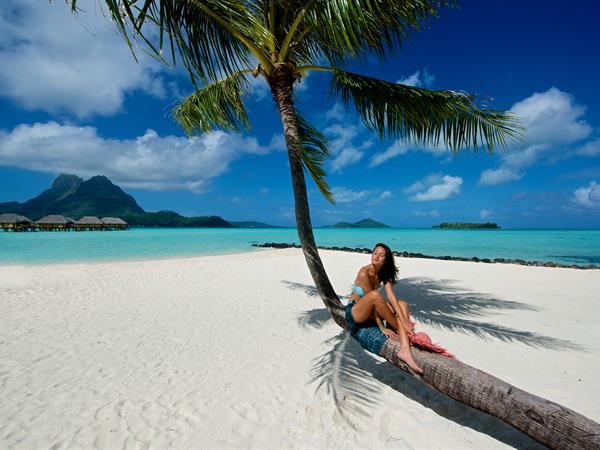 Sur terre
Le Bora Bora by Pearl Resorts