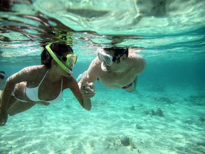SNORKELING
Mawar Kuning Dive & Water Sport
