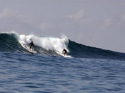Stand Paddle
Rip Curl Surfing