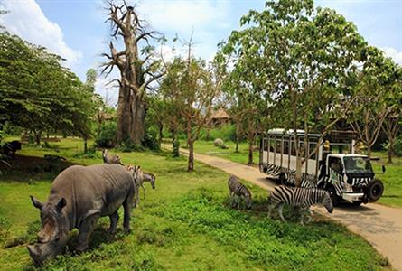 Rhino Package
Bali Safari and Marine Park