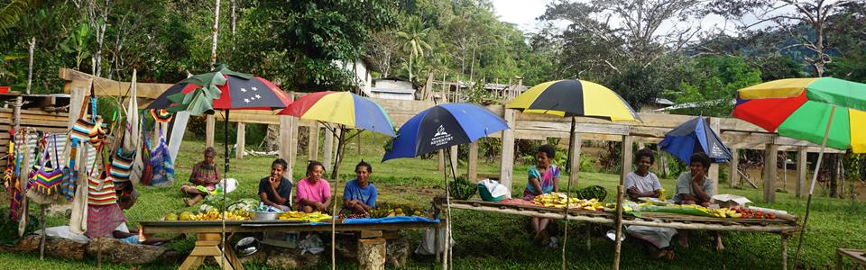 Kokoda trail clearance tours cost