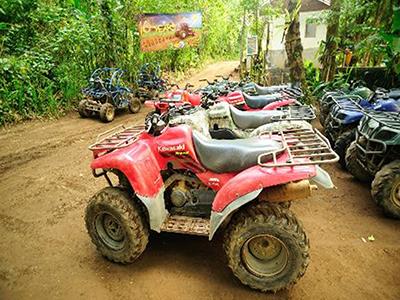 Quad and Buggy
Bali Quad Discovery Tours