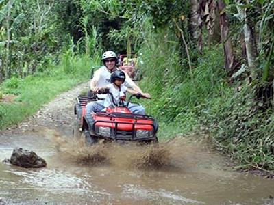Quad / Buggy / Canyon Tubing + Taro Elephant Safari
Bali Quad Discovery Tours