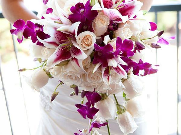 Cascade de Roses et Orchidées
Le Bora Bora by Pearl Resorts