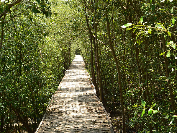 Ecotourism Mangrove Wonorejo
Zest Jemursari