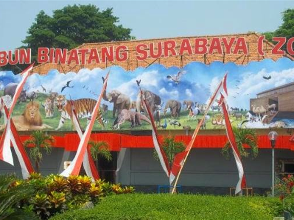 Kebun Binatang Surabaya
Hotel Ciputra World Surabaya