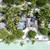 Villa Royale Plage avec Piscine
Le Taha'a by Pearl Resorts