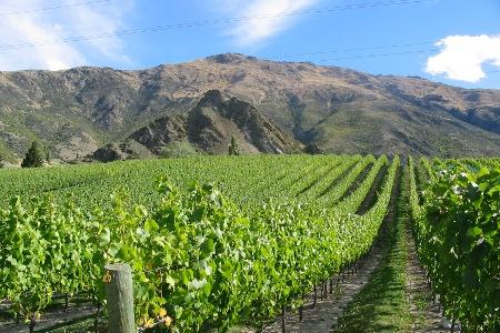 Central Otago Wine Growers Assn