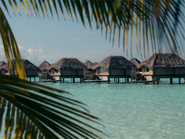 Early Bird -20% with breakfast included
Le Taha'a by Pearl Resorts