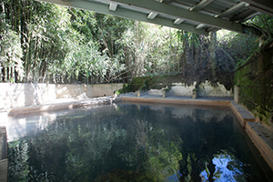 
Opal Hot Springs & Holiday Park