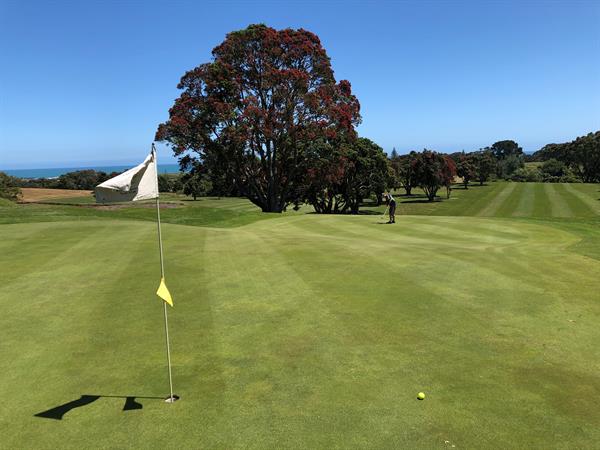 Golf in Taranaki
Distinction New Plymouth Hotel & Conference Centre
