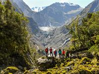 Stay, E-Bike & Hike - Fox Glacier