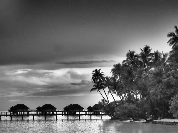 Neil Hennessy-Vass - Tahiti : Paradise Found
Le Taha'a by Pearl Resorts