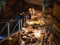 Te Anau Glowworm Caves Combo