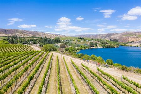 
Central Otago Business Events