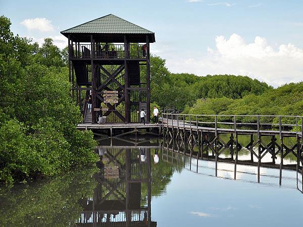 Ecotourism Mangrove Wonorejo Zest Hotel Jemursari