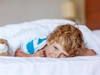 Standard Family Room
Distinction Mackenzie Country Hotel Twizel