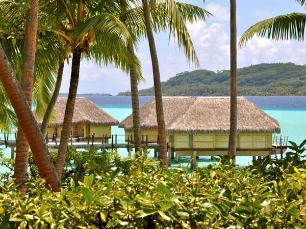 Attitude Luxe - Immersion paradisiaque sur l’île polynésienne de Taha’a
Le Taha'a by Pearl Resorts
