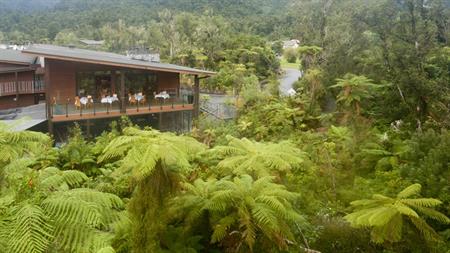 
Te Waonui Forest Retreat