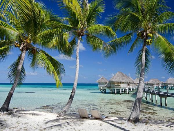 Stay 5 nights Save 40% with breakfast included
Le Tikehau by Pearl Resorts