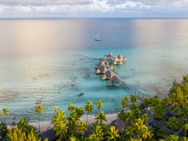 Early Bird -30% with breakfast included
Le Tikehau by Pearl Resorts