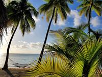 Stay 4 nights, Save 25% with breakfast included