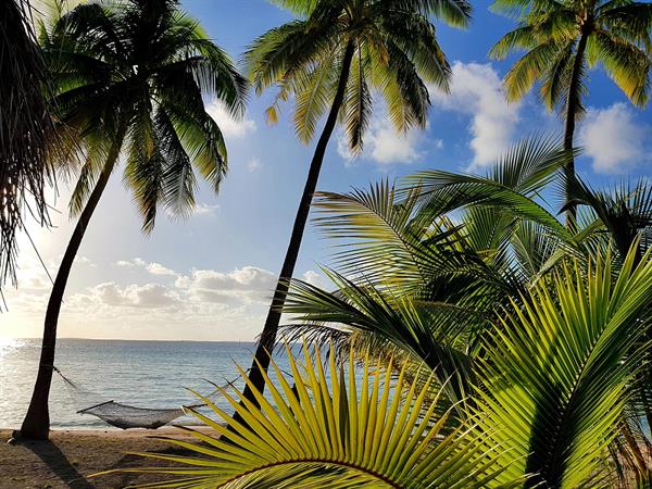 Stay 4 nights, Save 25% with breakfast included
Le Tikehau by Pearl Resorts