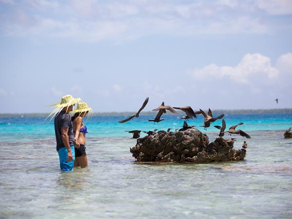 Sur Terre
Le Tikehau by Pearl Resorts