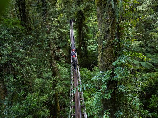 
Rotorua Canopy Tours