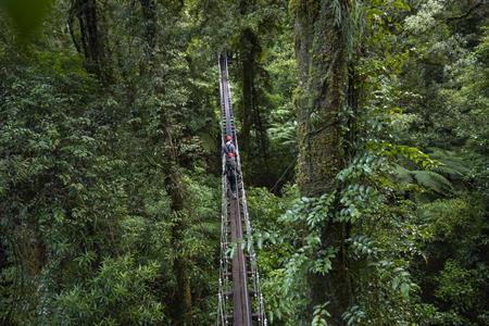 
Rotorua Canopy Tours
