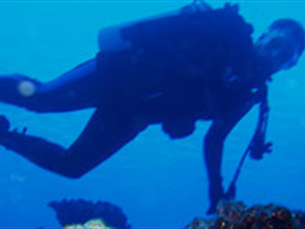 1 Tank Dive
Pacific Divers
