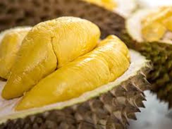 Pusat Kuliner Durian Kalibata
Swiss-Belresidences Kalibata