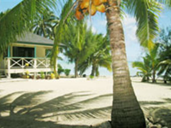 Beachside Bungalow
Sunny Beach Lodge