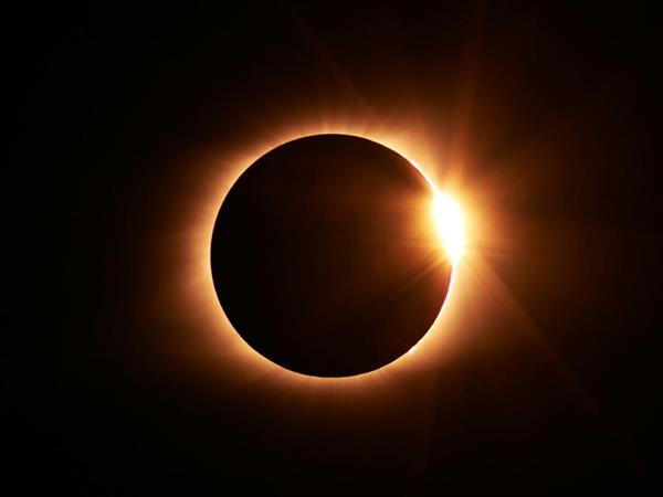 2028 Solar Eclipse Hotel Package
Distinction Dunedin Hotel