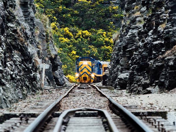 Dunedin Railways
Distinction Dunedin Hotel