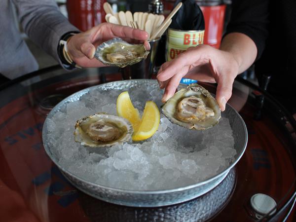 Bluff Oyster & Food Festival
Distinction Invercargill Hotel