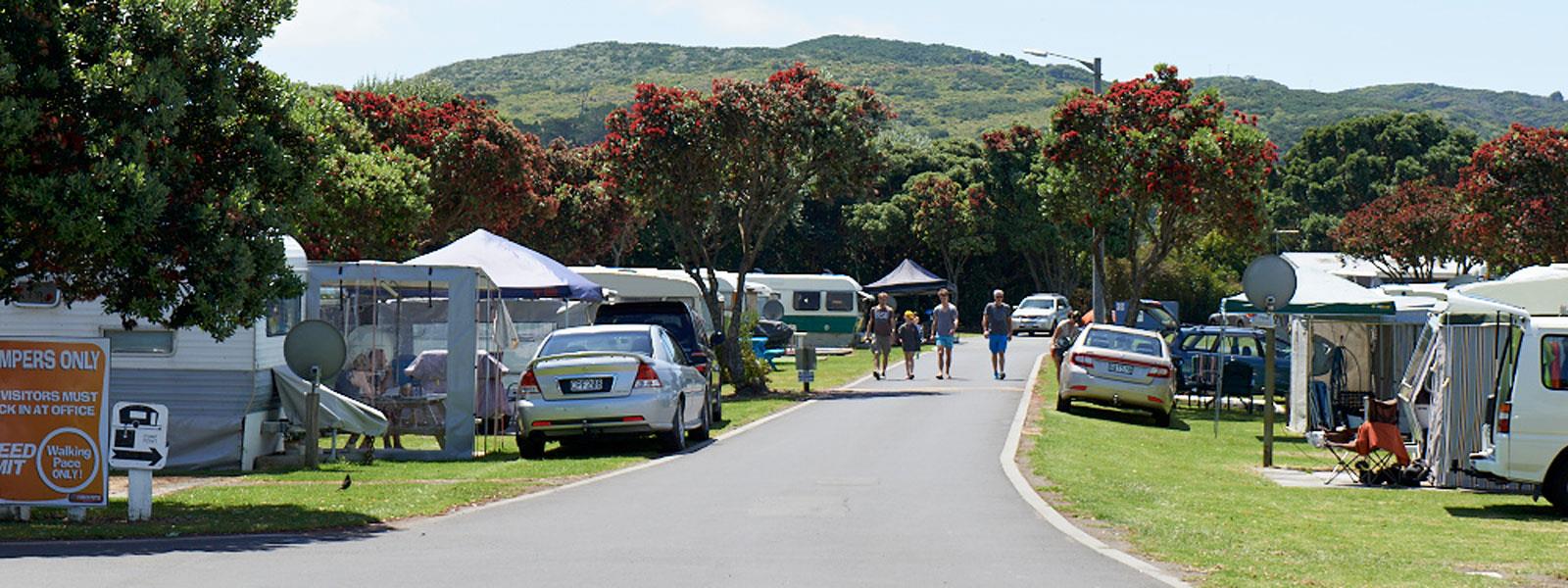 Raglan Kopua Holiday Park Raglan Camping Ground Tent Site