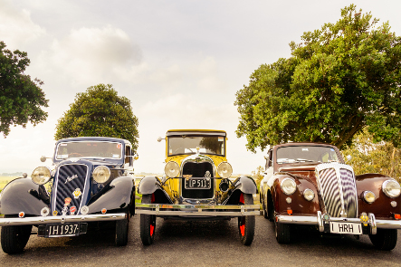 Napier - Classic Cars
NZ Shore Excursions