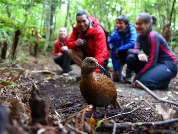 Stewart Island Day Trip
Distinction Invercargill Hotel - Opening Soon