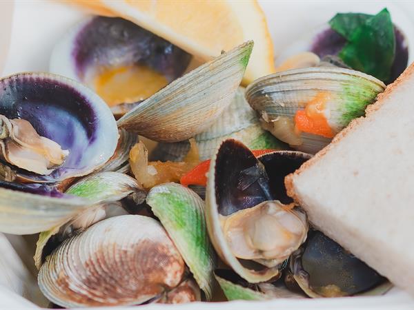 Port Chalmers Seafood Festival
Dunedin Leisure Lodge - A Distinction Hotel