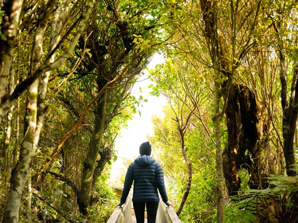 Stay 3 Nights & SAVE Non Refundable
Distinction Invercargill Hotel
