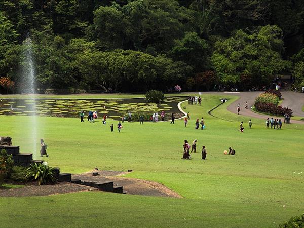 Bogor Botanical Gardens
Swiss-Belhotel Bogor