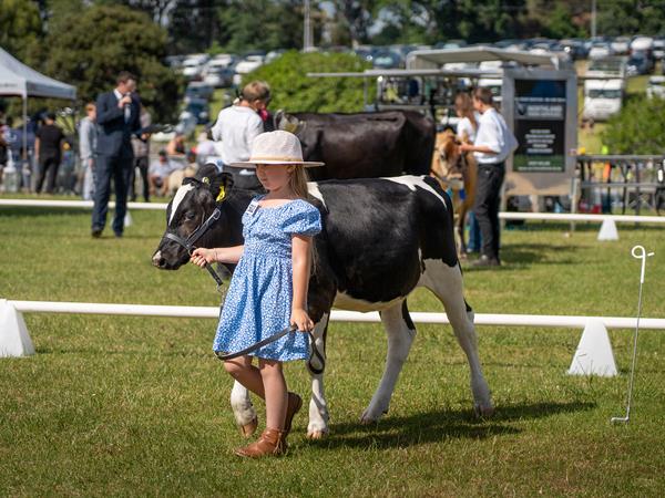 Whangarei A&P Show
Distinction Whangarei Hotel & Conference Centre