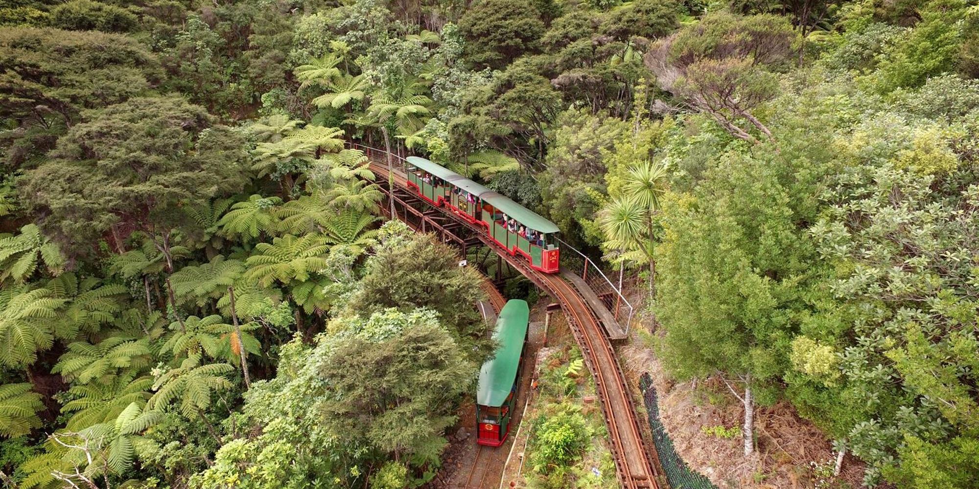 Driving Creek Railways Day Trips Coromandel Adventures