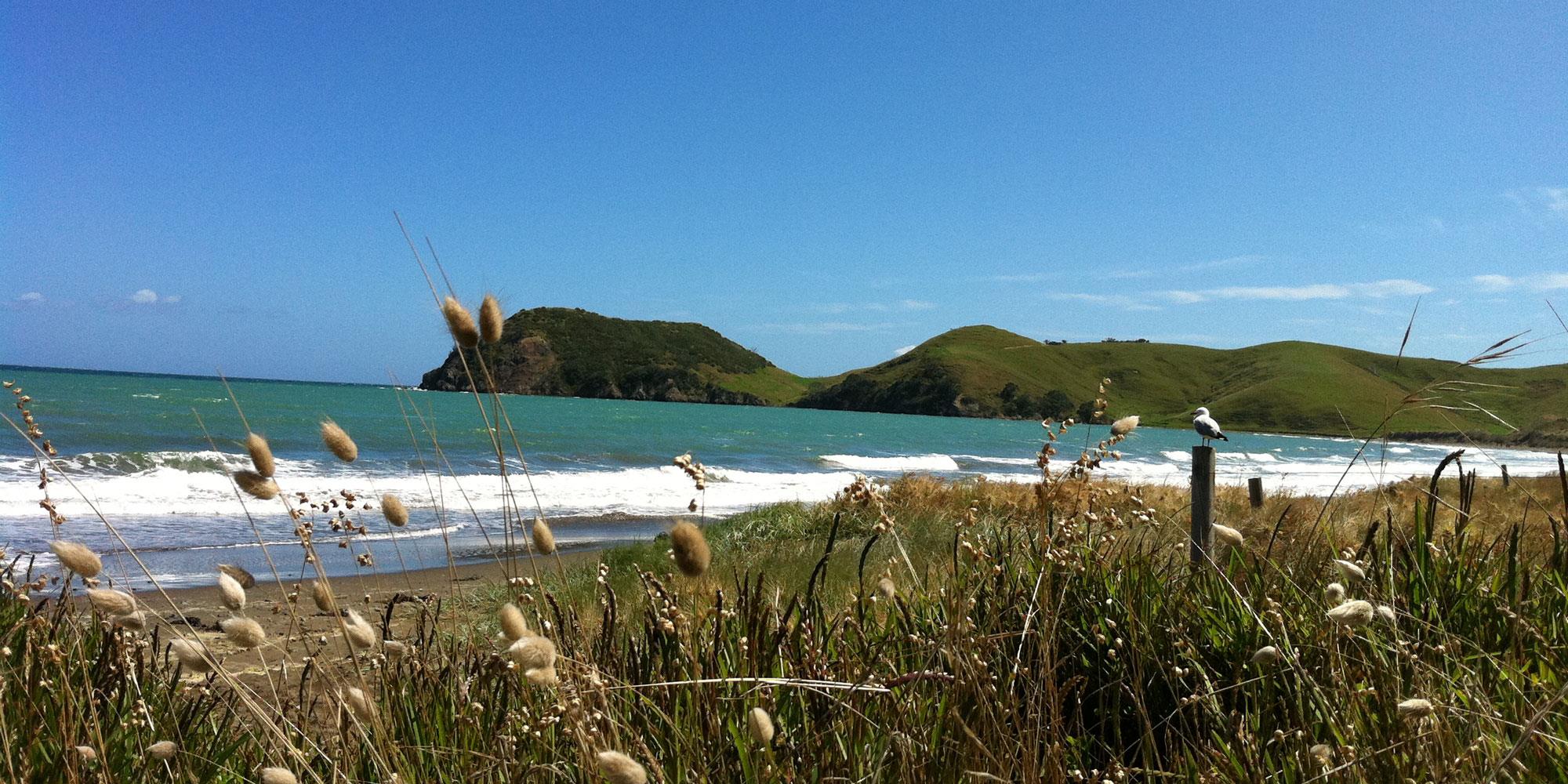 Coromandel Top 10 Cabins & Tent Sites Coromandel Adventures
